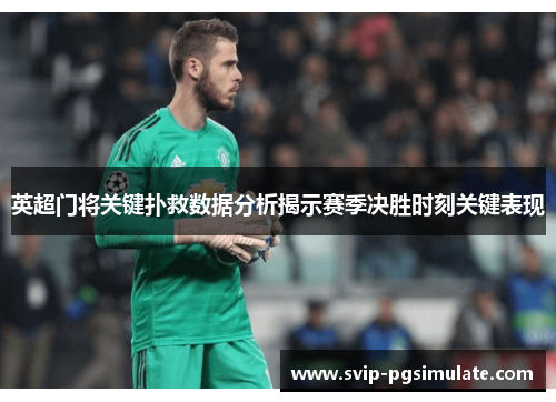 英超门将关键扑救数据分析揭示赛季决胜时刻关键表现