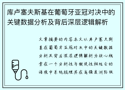 库卢塞夫斯基在葡萄牙亚冠对决中的关键数据分析及背后深层逻辑解析